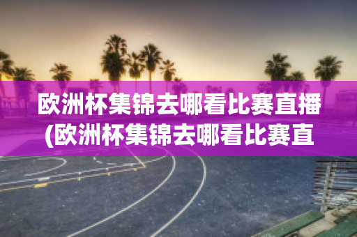 欧洲杯集锦去哪看比赛直播(欧洲杯集锦去哪看比赛直播回放)