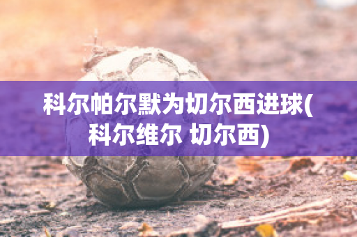 科尔帕尔默为切尔西进球(科尔维尔 切尔西)