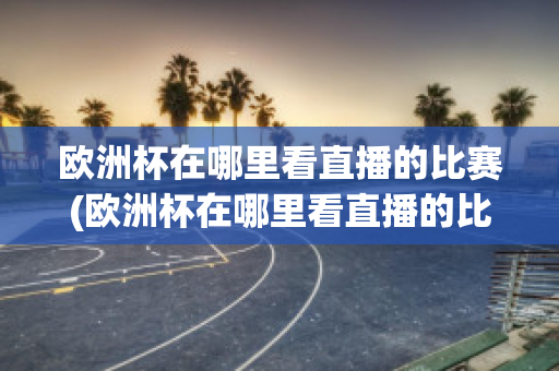 欧洲杯在哪里看直播的比赛(欧洲杯在哪里看直播的比赛视频)