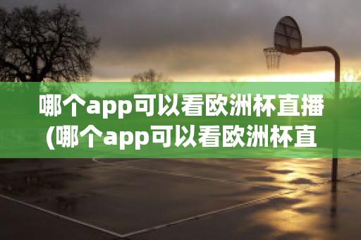 哪个app可以看欧洲杯直播(哪个app可以看欧洲杯直播视频)