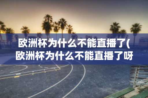 欧洲杯为什么不能直播了(欧洲杯为什么不能直播了呀)