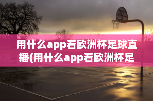 用什么app看欧洲杯足球直播(用什么app看欧洲杯足球直播)