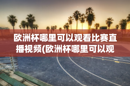 欧洲杯哪里可以观看比赛直播视频(欧洲杯哪里可以观看比赛直播视频回放)