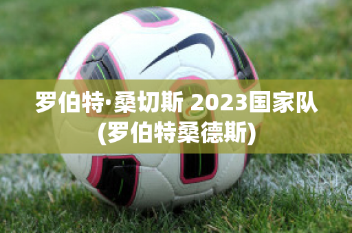 罗伯特·桑切斯 2023国家队(罗伯特桑德斯)