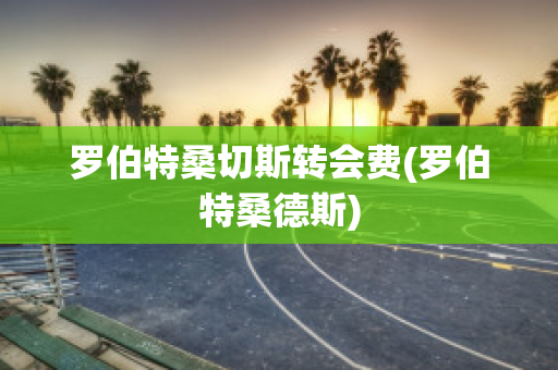 罗伯特桑切斯转会费(罗伯特桑德斯)