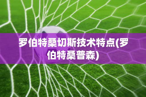 罗伯特桑切斯技术特点(罗伯特桑普森)