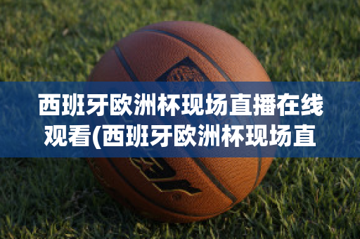 西班牙欧洲杯现场直播在线观看(西班牙欧洲杯现场直播在线观看高清)