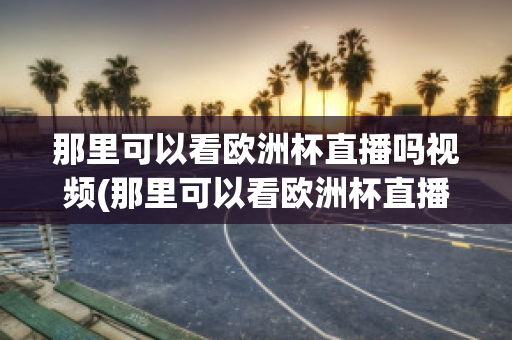 那里可以看欧洲杯直播吗视频(那里可以看欧洲杯直播吗视频回放)