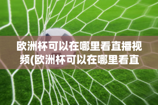 欧洲杯可以在哪里看直播视频(欧洲杯可以在哪里看直播视频回放)