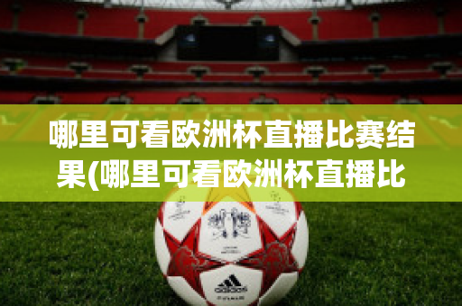 哪里可看欧洲杯直播比赛结果(哪里可看欧洲杯直播比赛结果视频)