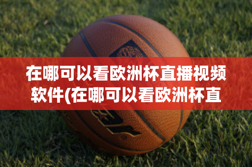 在哪可以看欧洲杯直播视频软件(在哪可以看欧洲杯直播视频软件啊)