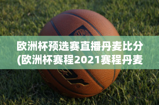 欧洲杯预选赛直播丹麦比分(欧洲杯赛程2021赛程丹麦)