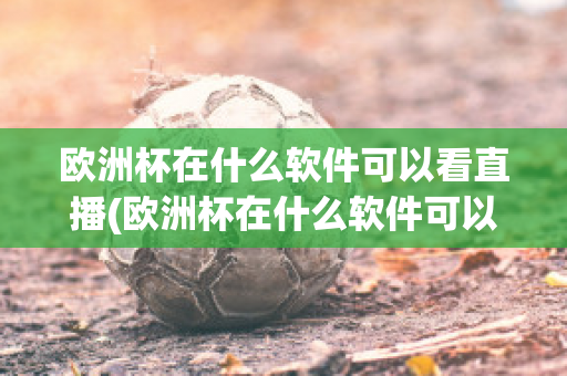 欧洲杯在什么软件可以看直播(欧洲杯在什么软件可以看直播回放)