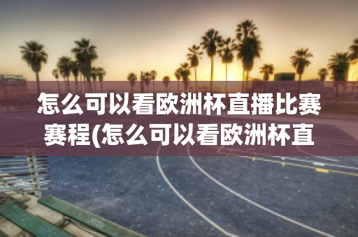 怎么可以看欧洲杯直播比赛赛程(怎么可以看欧洲杯直播比赛赛程视频)