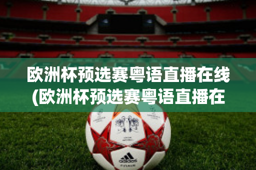 欧洲杯预选赛粤语直播在线(欧洲杯预选赛粤语直播在线观看视频)