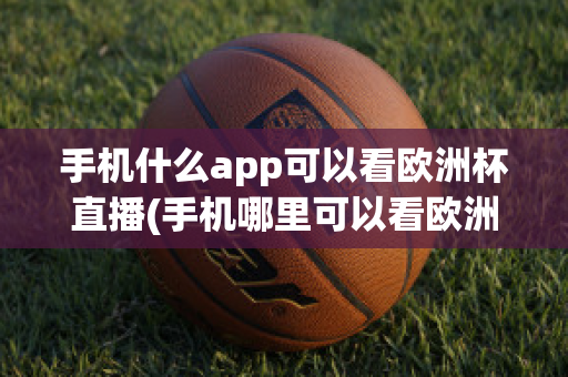 手机什么app可以看欧洲杯直播(手机哪里可以看欧洲杯直播)