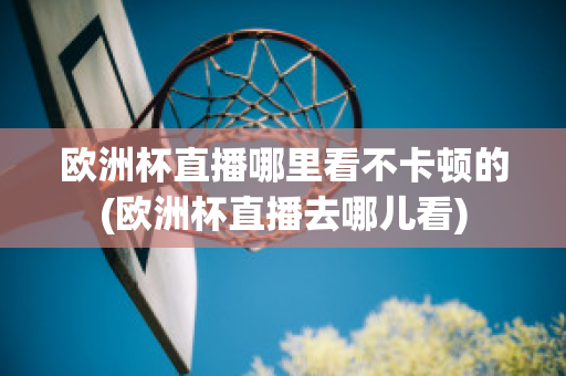 欧洲杯直播哪里看不卡顿的(欧洲杯直播去哪儿看)