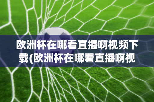 欧洲杯在哪看直播啊视频下载(欧洲杯在哪看直播啊视频下载安装)