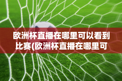 欧洲杯直播在哪里可以看到比赛(欧洲杯直播在哪里可以看到比赛结果)