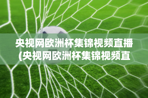 央视网欧洲杯集锦视频直播(央视网欧洲杯集锦视频直播在线观看)