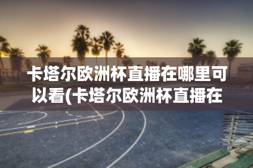 卡塔尔欧洲杯直播在哪里可以看(卡塔尔欧洲杯直播在哪里可以看到)