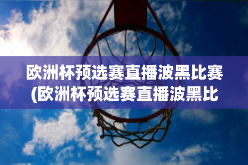 欧洲杯预选赛直播波黑比赛(欧洲杯预选赛直播波黑比赛回放)