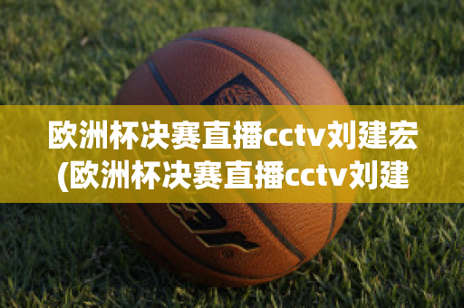 欧洲杯决赛直播cctv刘建宏(欧洲杯决赛直播cctv刘建宏回放)