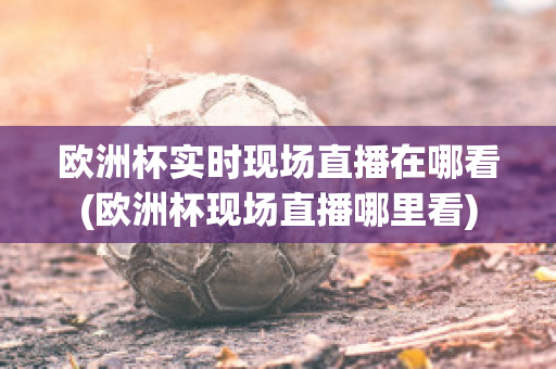 欧洲杯实时现场直播在哪看(欧洲杯现场直播哪里看)