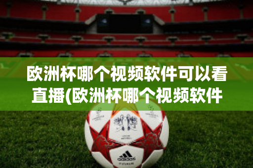 欧洲杯哪个视频软件可以看直播(欧洲杯哪个视频软件可以看直播回放)