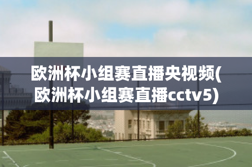 欧洲杯小组赛直播央视频(欧洲杯小组赛直播cctv5)