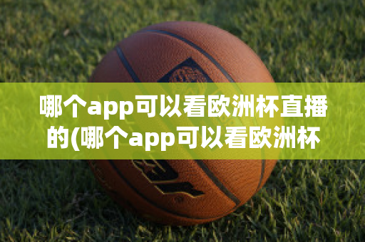 哪个app可以看欧洲杯直播的(哪个app可以看欧洲杯直播的视频)