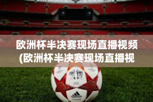 欧洲杯半决赛现场直播视频(欧洲杯半决赛现场直播视频在线观看)