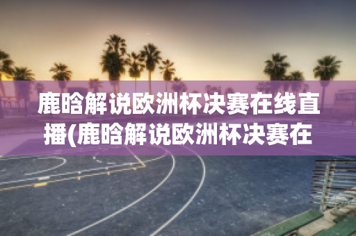 鹿晗解说欧洲杯决赛在线直播(鹿晗解说欧洲杯决赛在线直播观看)