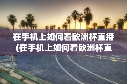 在手机上如何看欧洲杯直播(在手机上如何看欧洲杯直播回放)