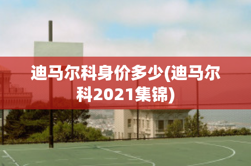 迪马尔科身价多少(迪马尔科2021集锦)