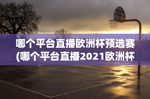 哪个平台直播欧洲杯预选赛(哪个平台直播2021欧洲杯)