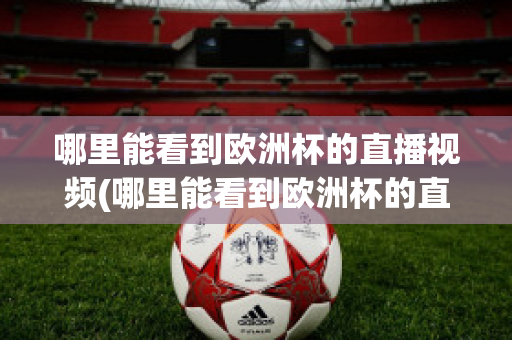 哪里能看到欧洲杯的直播视频(哪里能看到欧洲杯的直播视频回放)