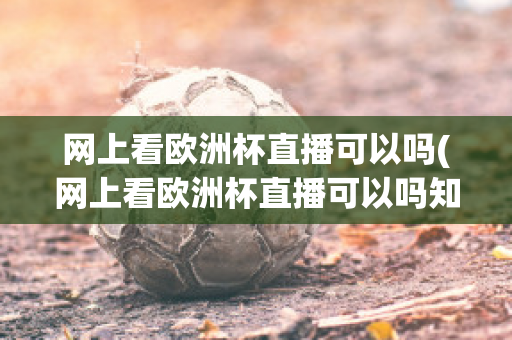 网上看欧洲杯直播可以吗(网上看欧洲杯直播可以吗知乎)