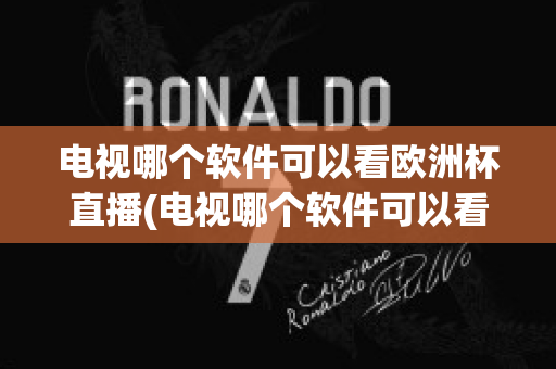 电视哪个软件可以看欧洲杯直播(电视哪个软件可以看欧洲杯直播回放)