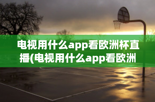 电视用什么app看欧洲杯直播(电视用什么app看欧洲杯直播免费)