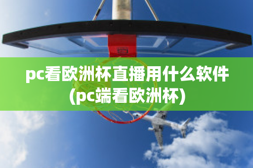 pc看欧洲杯直播用什么软件(pc端看欧洲杯)