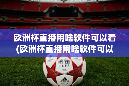 欧洲杯直播用啥软件可以看(欧洲杯直播用啥软件可以看到)