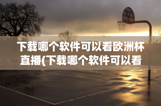 下载哪个软件可以看欧洲杯直播(下载哪个软件可以看欧洲杯直播的)