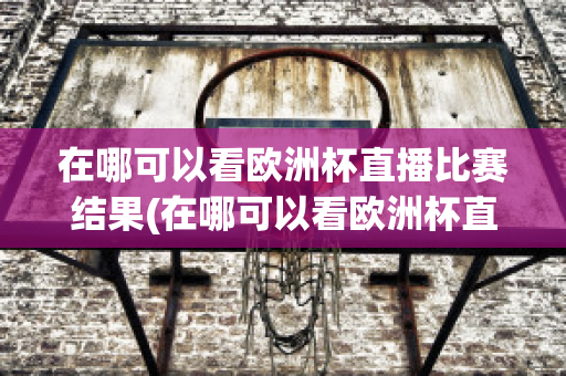 在哪可以看欧洲杯直播比赛结果(在哪可以看欧洲杯直播比赛结果视频)