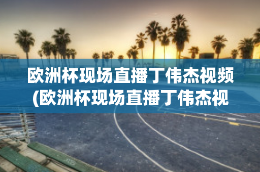 欧洲杯现场直播丁伟杰视频(欧洲杯现场直播丁伟杰视频在线观看)