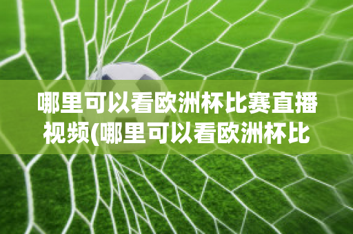 哪里可以看欧洲杯比赛直播视频(哪里可以看欧洲杯比赛直播视频回放)