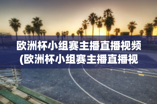 欧洲杯小组赛主播直播视频(欧洲杯小组赛主播直播视频在线观看)