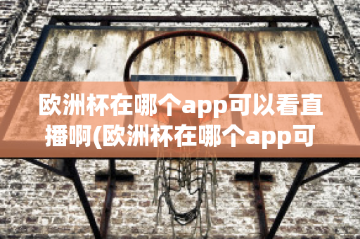 欧洲杯在哪个app可以看直播啊(欧洲杯在哪个app可以看直播啊英文)