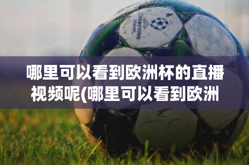 哪里可以看到欧洲杯的直播视频呢(哪里可以看到欧洲杯的直播视频呢知乎)