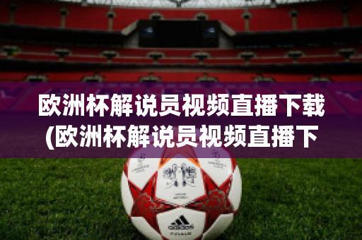 欧洲杯解说员视频直播下载(欧洲杯解说员视频直播下载软件)